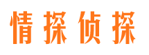 朝天市婚姻调查